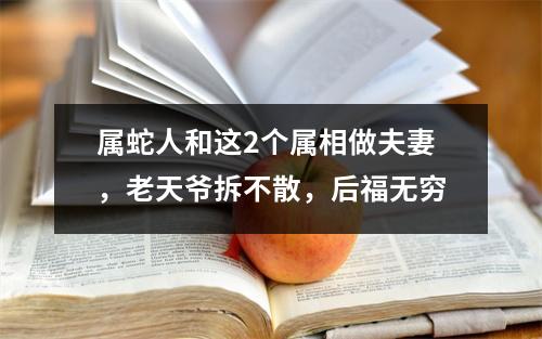 属蛇人和这2个属相做夫妻，老天爷拆不散，后福无穷