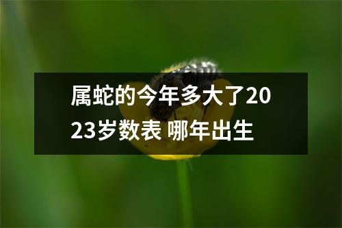 属蛇的今年多大了2025岁数表哪年出生