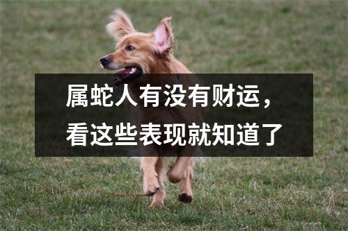 属蛇人有没有财运，看这些表现就知道了