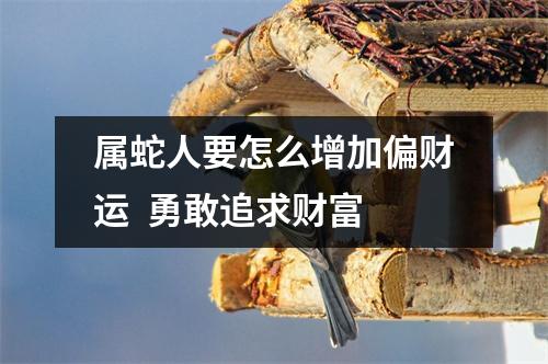 属蛇人要怎么增加偏财运勇敢追求财富