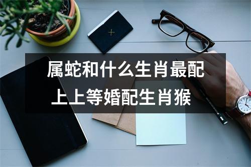 属蛇和什么生肖配上上等婚配生肖猴