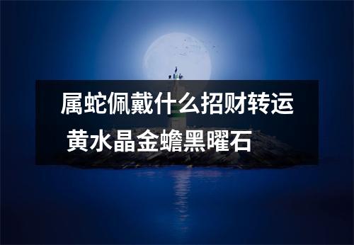 属蛇佩戴什么招财转运黄水晶金蟾黑曜石