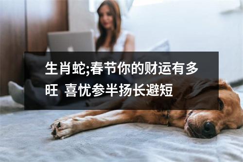 生肖蛇;春节你的财运有多旺喜忧参半扬长避短