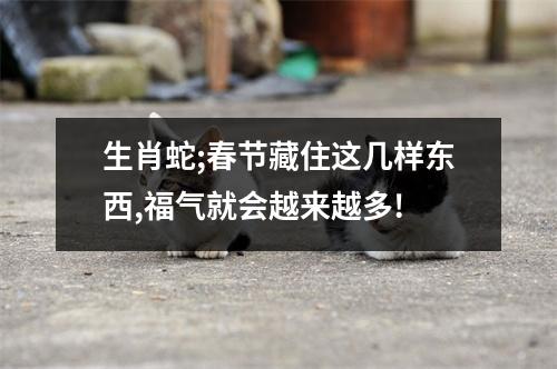 生肖蛇;春节藏住这几样东西,福气就会越来越多!