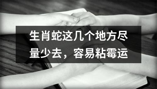 生肖蛇这几个地方尽量少去，容易粘霉运