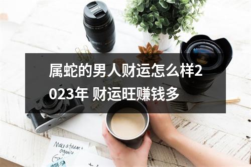 属蛇的男人财运怎么样2025年财运旺赚钱多