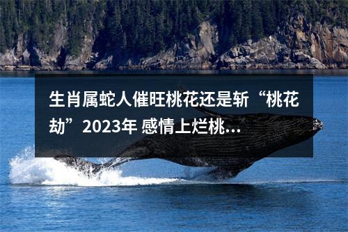 生肖属蛇人催旺桃花还是斩“桃花劫”2025年感情上烂桃花化解