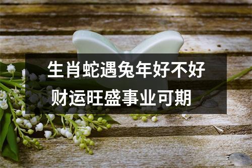 生肖蛇遇兔年好不好财运旺盛事业可期