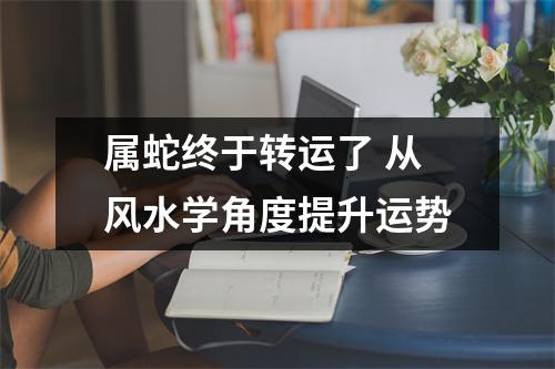 属蛇终于转运了从风水学角度提升运势