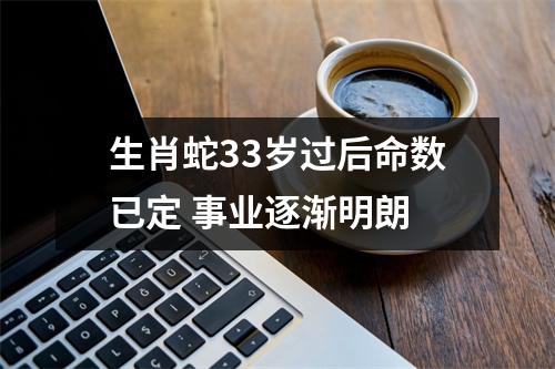 生肖蛇33岁过后命数已定事业逐渐明朗