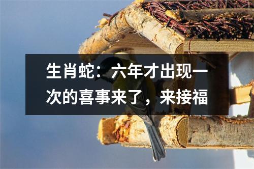 生肖蛇：六年才出现一次的喜事来了，来接福