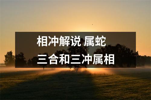 相冲解说属蛇三合和三冲属相