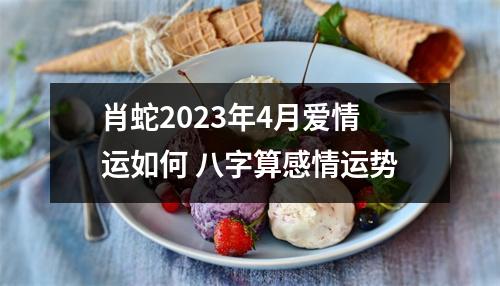肖蛇2025年4月爱情运如何八字算感情运势
