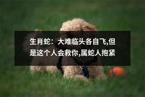 生肖蛇：大难临头各自飞,但是这个人会救你,属蛇人抱紧