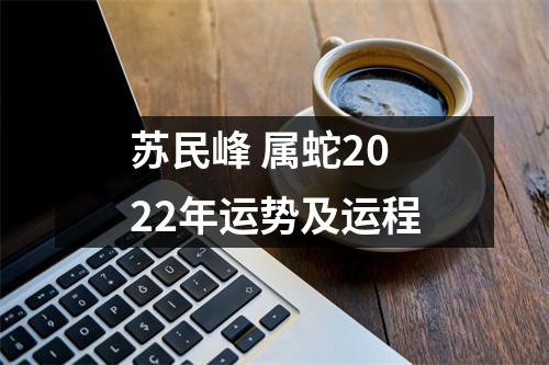 <h3>苏民峰属蛇2025年运势及运程