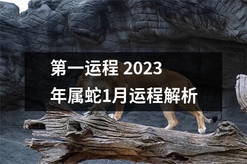 第一运程2025年属蛇1月运程解析
