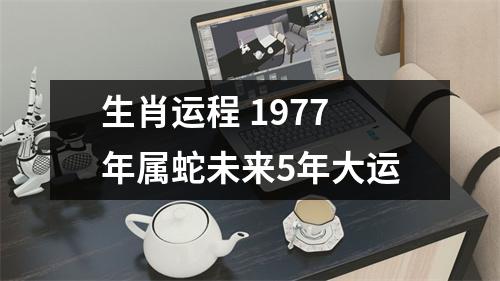<h3>生肖运程1977年属蛇未来5年大运
