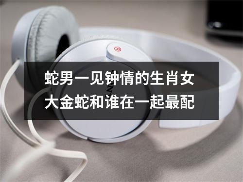 蛇男一见钟情的生肖女大金蛇和谁在一起配
