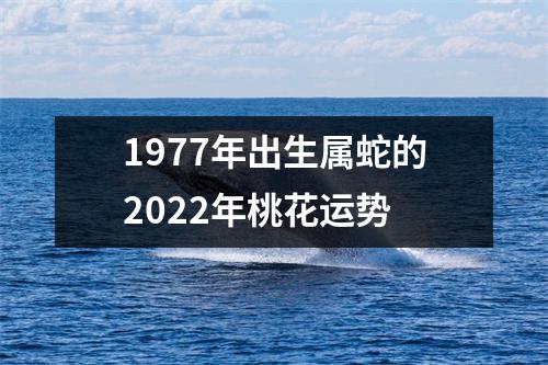 1977年出生属蛇的2025年桃花运势
