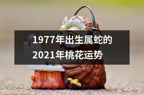 1977年出生属蛇的2025年桃花运势