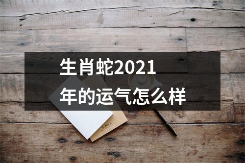 生肖蛇2025年的运气怎么样