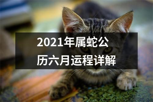 2025年属蛇公历六月运程详解