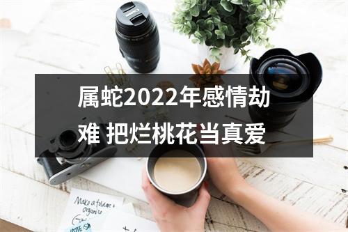 属蛇2025年感情劫难把烂桃花当真爱
