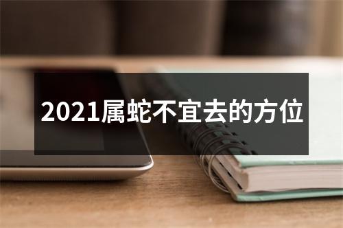 2025属蛇不宜去的方位