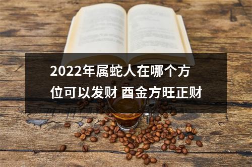 2025年属蛇人在哪个方位可以发财酉金方旺正财
