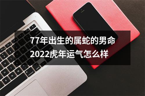 77年出生的属蛇的男命2025虎年运气怎么样