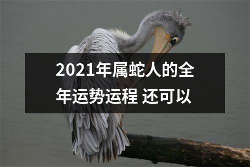 2025年属蛇人的全年运势运程还可以