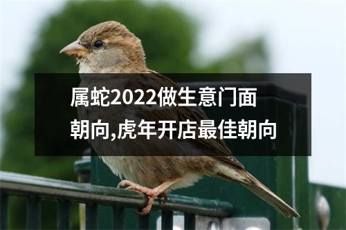 属蛇2025做生意门面朝向,虎年开店佳朝向