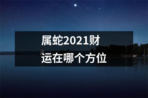 属蛇2025财运在哪个方位