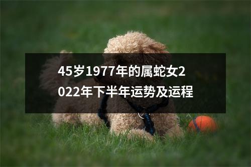 45岁1977年的属蛇女2025年下半年运势及运程