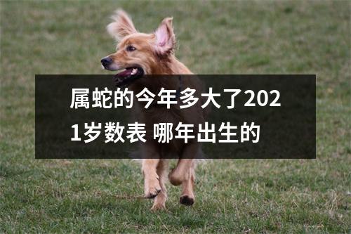属蛇的今年多大了2025岁数表哪年出生的