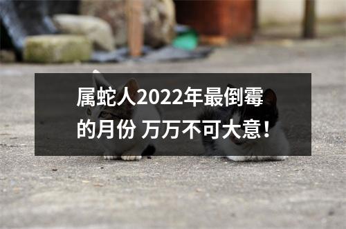 属蛇人2025年倒霉的月份万万不可大意！