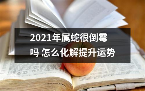 2025年属蛇很倒霉吗怎么化解提升运势