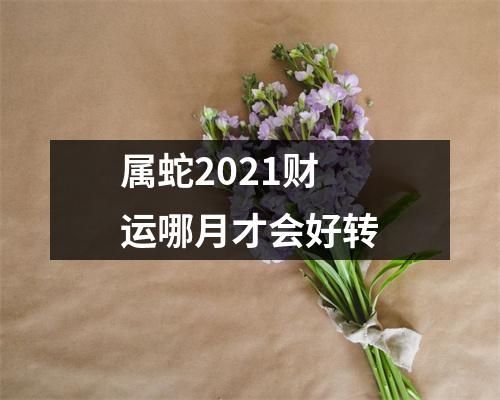 属蛇2025财运哪月才会好转