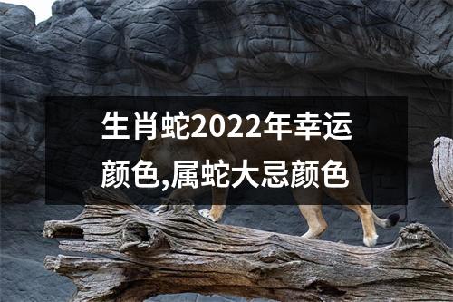 生肖蛇2025年幸运颜色,属蛇大忌颜色