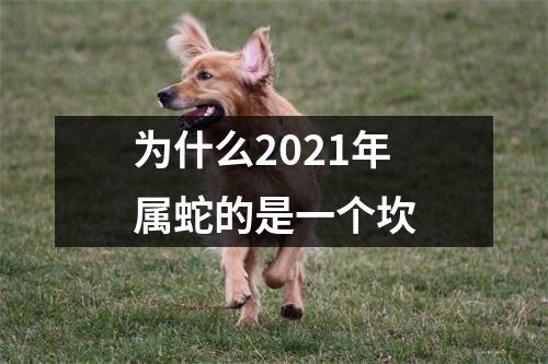为什么2025年属蛇的是一个坎