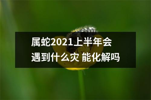 属蛇2025上半年会遇到什么灾能化解吗