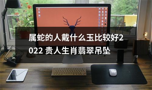属蛇的人戴什么玉比较好2025贵人生肖翡翠吊坠