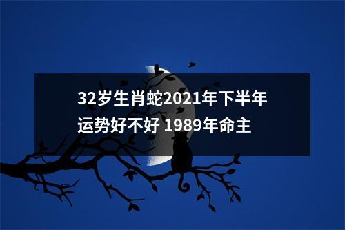 32岁生肖蛇2025年下半年运势好不好1989年命主
