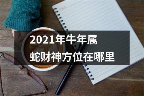 2025年牛年属蛇财神方位在哪里