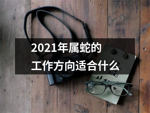 2025年属蛇的工作方向适合什么