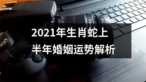 2025年生肖蛇上半年婚姻运势解析