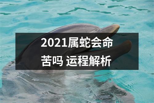 2025属蛇会命苦吗运程解析