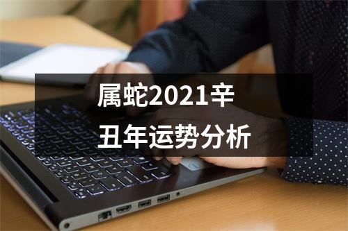 属蛇2025辛丑年运势分析