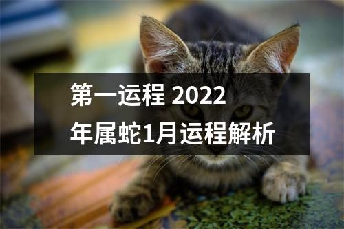 第一运程2025年属蛇1月运程解析