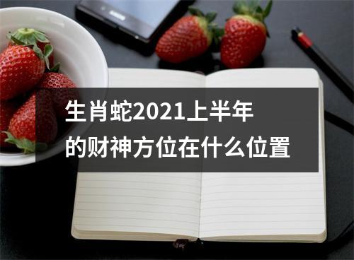生肖蛇2025上半年的财神方位在什么位置
